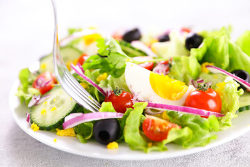 vegetable salad with egg, cucumber and tomato