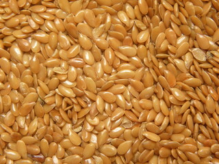 Golden raw whole dry Flax seeds
