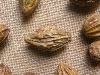 Raw whole dried Terminalia chebula fruit