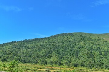 Fototapeta na wymiar Background Forest Spreading Mountain Farming fields Background Image