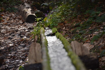 stream of water on a wooden gutter in the woods