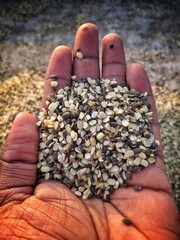 A piece of red heart shape paper cut put on carbohydrate food background consisted of cashew, pistachio, sunflower seed, almond, peanut, rice, soybean, and various kinds of bean, for love healthy food