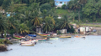 bay with boats in Saint Lucia and palm trees