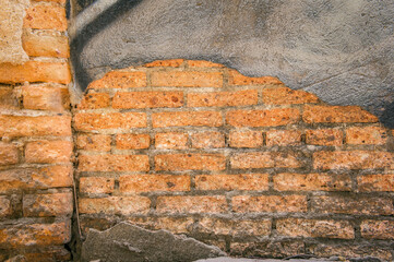 The background is an old brick wall. The wall is made of red ceramic bricks