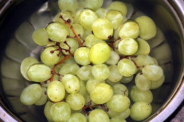 green sweet grapes in water