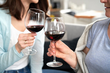 Close up of two women on celebratory toast at home