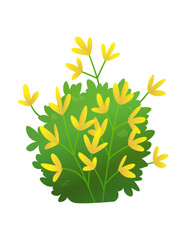 Grass or bushes. Green realistic spring grass with yellow flowers. Fresh plants, garden botanical greens, herbs and leaves  isolated on white. Natural lawn meadow bushes, floral vegetation