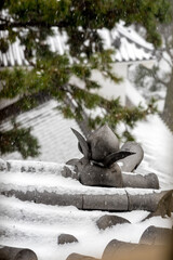 Kokura Castle covered with snow