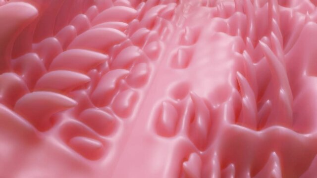 mooth 3D animated surface in pink color. abstract loop background. 3d render