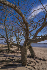 Beach on the river Elbe near Hamburg.