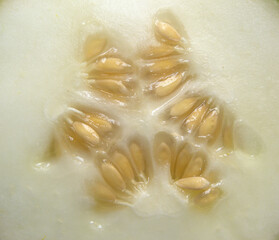 Cut fresh Dosakai cucumber