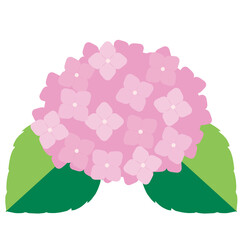 Fototapeta premium 梅雨のシンボル！紫陽花のイラスト