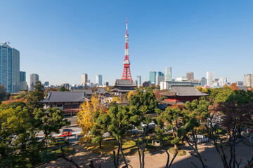 Japanese zojoji temple near the Tokyo tower . Zojo-ji is notable for its relationship with the...