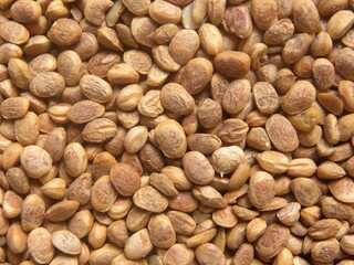 Raw whole dried Chironji nut