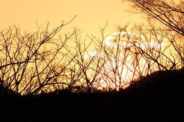 山に沈む夕日　太陽の光　夕焼け　森