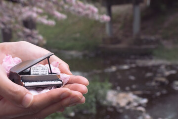 手の上の花びらとピアノ