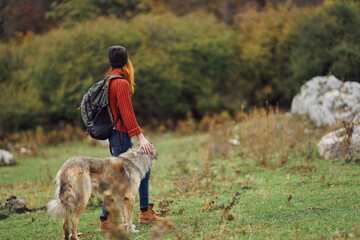 Fototapeta premium woman hiker walking the dog in nature in the forest travel friendship