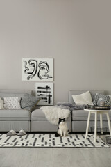 Cat near big grey sofa in living room. Interior design