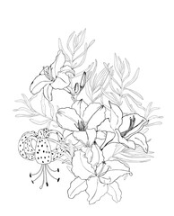 Bouquet of lilies isolated vector drawing