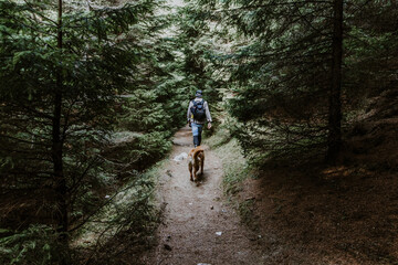 A boy and his dog hiking in the woods