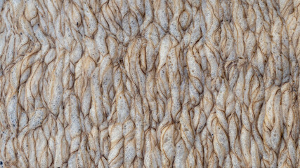 Close-up Texture Sponges on the water surface of the river after rain leach the soil surface into the river. It looks like coffee froth.