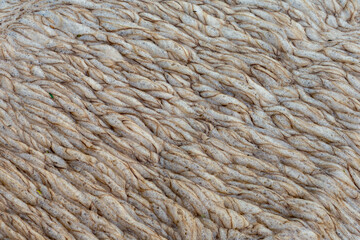 Close-up Texture Sponges on the water surface of the river after rain leach the soil surface into the river. It looks like coffee froth.
