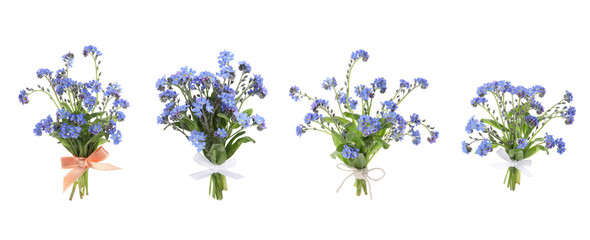 Set with beautiful tender forget me not flowers on white background. Banner design