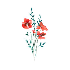 Beautiful, tender, cute and minimalistic watercolor meadow poppy bouquet suitable for greeting cards, posters, magazine illustrations, business cards and logos. Made in red and green colors.
