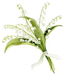 A bouquet of lilies of the valley, tied with a ribbon. Watercolor illustration of spring flowers. © Dasha