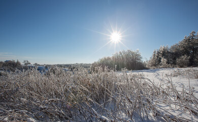 Winter forest landscape in snow and ice. Blue winter sky