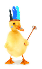 Cute duckling Indian chief duck with tomahawk axe funny conceptual photo