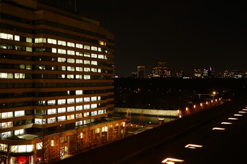 Fototapeta na wymiar Night view of Tokyo, Japan. Image of business district. - 東京の夜景 日本