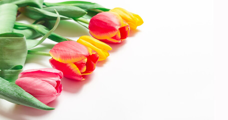 Beautiful tulips for Mother's Day on a light background, copy space