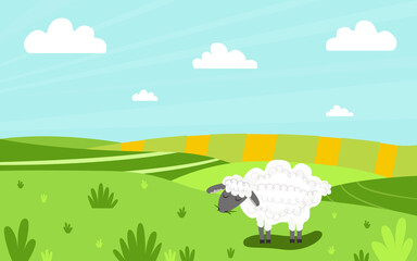 white lamb chews grass on a green meadow. Panaram background with animal. Bright cartoon illustration. Background for the design of packaging, covers, cards. Vector illustration, flat