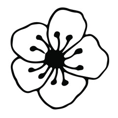 Hand drawn vector botanical illustration. Isolated objects on white.