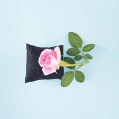 Branch of pink rose on dark pillow.  Minimal concept on bright blue background