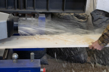 Carpenter in the carpentry in action