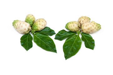 Noni or Morinda Citrifolia fruits isolated on white background.