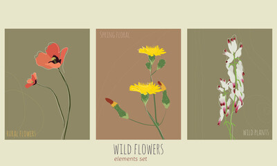 Beautiful Mediterranean wild flowers. Poppies, daisies, dandelion and cluster flowers hand drawn in flat style and muted colors like red, white, pink and yellow suitable for postcards, prints and more