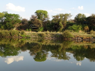 Fototapeta na wymiar the green bank at the okavango river