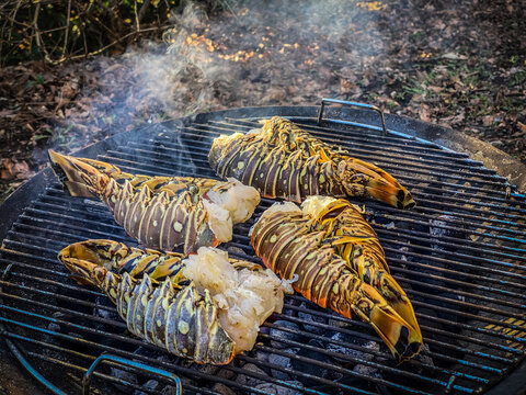 Spiny lobsters cooked and grilled on a barbecue grill in a garden