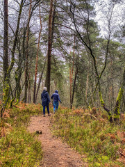 Two People hiking in Virton forest and following the Fairy path, Luxembourg, Belgium