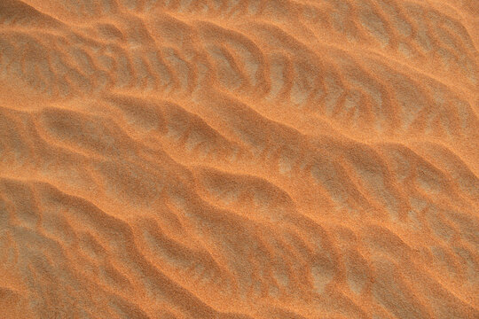 Desert. Sand dune. Sand texture. Wave pattern on the surface of the dune. Minimalism. Solid orange color palette. Grains of sand. Sandstone. No noise