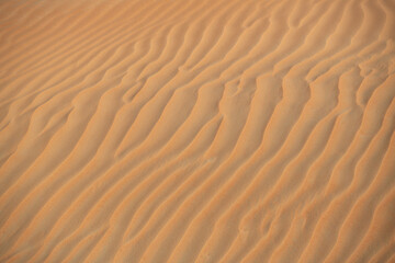 Desert. Sand dune. Sand texture. Wave pattern on the surface of the dune. Minimalism. Solid orange color palette. Grains of sand. Sandstone. No noise