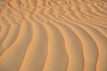 Desert. Sand dune. Sand texture. Wave pattern on the surface of the dune. Minimalism. Solid orange color palette. Grains of sand. Sandstone. No noise