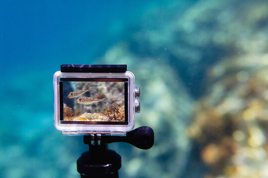 Using action-camera in waterproof box to make photos and video underwater
