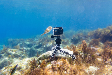 Using camera in waterproof box on a tripod to make photos and video from the bottom of the sea