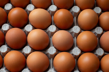 Rural, raw and fresh eggs in cartoon egg box tray, close-up with soft and select focus and isolated copy space.