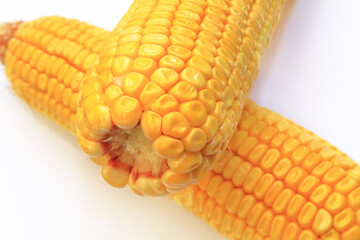 Pannocchia su sfondo bianco, Corncob on white background