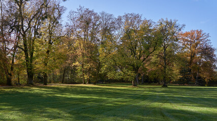 Parklandschaft mit herbstlich verfärbtem Laub